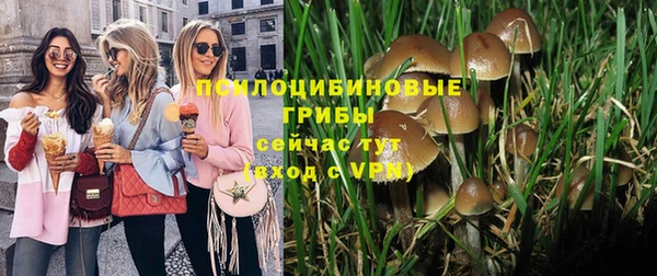 не бодяженный Абаза