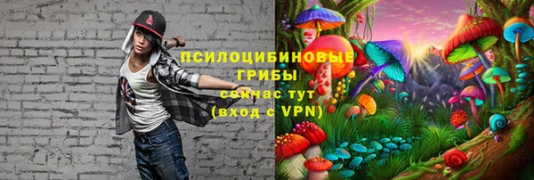 не бодяженный Абаза