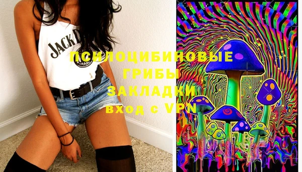не бодяженный Абаза