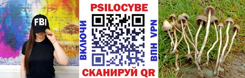 blacksprut как зайти  Ленинградская  Галлюциногенные грибы Magic Shrooms 